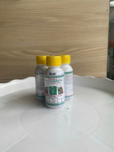 Phân bón lá sinh học Amino-Ca chống nứt trái 100ml