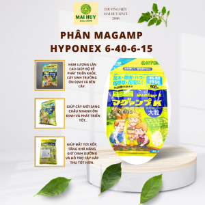 Phân tan chậm Nhật Bản Magamp Hyponex 6-40-6-15 chuyên cho hoa lan gói 600g - MAI HUY SINCE 2008