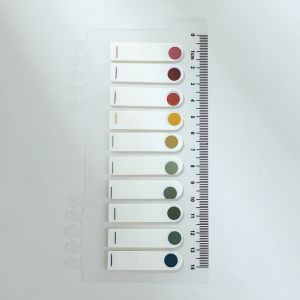 Bộ 200 giấy ghi chú đánh dấu trang sách màu neon -Aeneas Shop