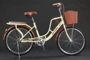 Xe đạp mini GITMA đủ size 20/22/24 /26khung 2 gióng chắc chắn giỏ to kèm bình nước yên trước sau có bọc nệm êm