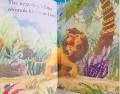 [Sách nhập] Usborne My First Reading Library - Bộ Xanh 50 cuốn kèm mp3. 
