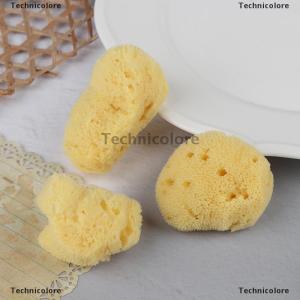 [COD] Technicolore เครื่องมือทำความสะอาดพื้นผิวแบบพิเศษภาพวาดด้วยฟองน้ำสีกรีกแบบธรรมชาติพร้อมฟองน้ำดูดซับที่เช็ดปากกา