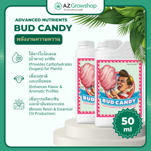 Bud Candy Advanced Nutrients | ตัวกระตุ้นการออกดอก & อาหารเสริมคาร์โบไฮเดรต