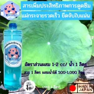 สารจับใบ มิซูยโระ 1000 มล สารเพิ่มประสิทธิภาพ การเผ่กระจาย ยิ้มผิว สูตรเข้มข้น เท่านั้น ไม่ทำรายผิวใบ ไม่ทิ้งคราบขาว ไม่มีสารตกค้าง ปลอดภัยสำหรับสัตว์, พืช, และสิ่งเวลามอง ใช้ภาษาไทย