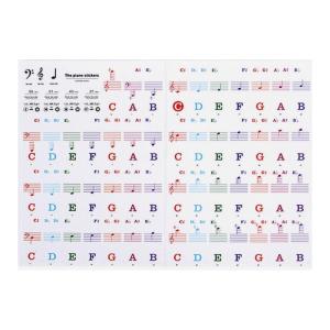 PVC Keyboard Stickers for 88 61 54 Key Pianos Staff Symbols Note Identification Removable Adhesive for All Learners