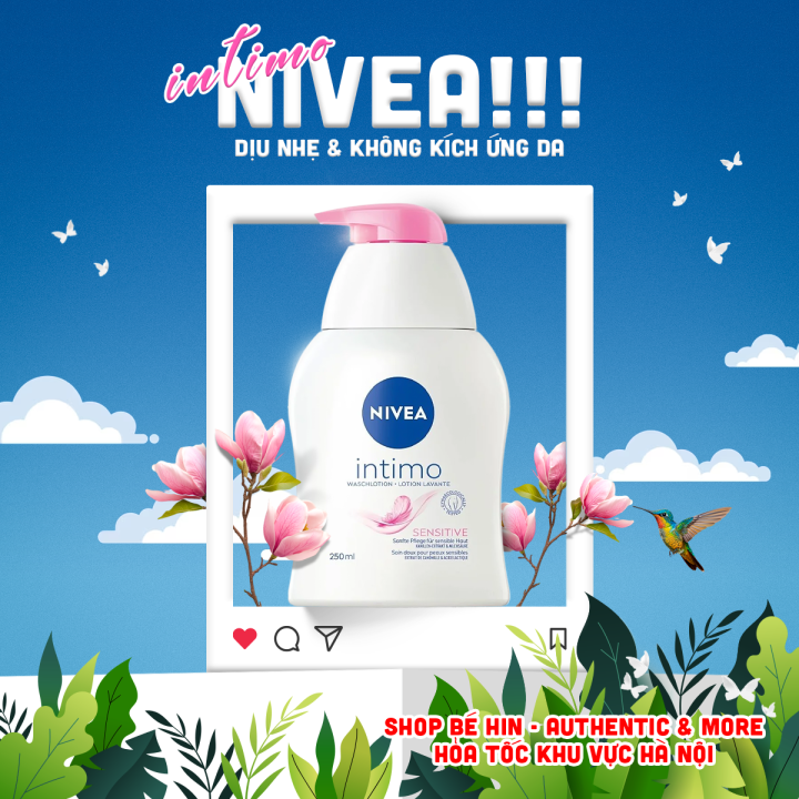 aloe kaufen Aloe Vera Bltter kaufen