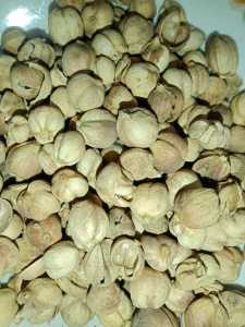 Kapulogo Kering 1 Kg Murah