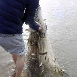 Durable Fishing Net Monofilament Floating Trap Saltwater Fish Net for Rod Fishing Lovers 1Mx 20M