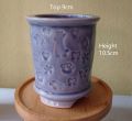 JCLSGP Decorative Tall Succulent Pot. 