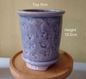 JCLSGP Decorative Tall Succulent Pot