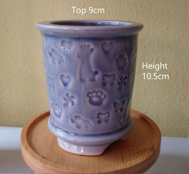 JCLSGP%20Decorative%20Tall%20Succulent%20Pot%20-%20Image%203