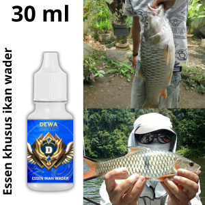 Essen Ikan Wader Sungai Liar Paling Gacor
