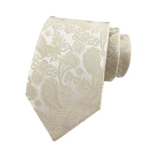AODDO Business Men Necktie 8cm Adjustable Paisley Tie Fashion Vintage Floral Ties Wedding