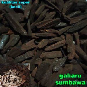 kayu gaharu aquilaria malaccensis original 10gram