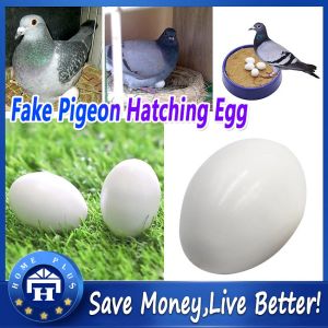 【Local delivery】 Bird Supplies Pigeon False Eggs Filled Plastic Solid Simulation Egg for Hatch Breeding Supplies Pigeon-False-Egg-Solid