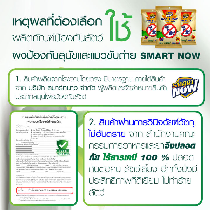 %E0%B9%84%E0%B8%A5%E0%B9%88%E0%B9%81%E0%B8%A1%E0%B8%A7%20%E0%B9%84%E0%B8%A5%E0%B9%88%E0%B8%AB%E0%B8%A1%E0%B8%B2%20%E0%B8%84%E0%B8%B8%E0%B8%93%E0%B8%A0%E0%B8%B2%E0%B8%9E%E0%B8%94%E0%B8%B5%E0%B9%80%E0%B8%A2%E0%B8%B5%E0%B9%88%E0%B8%A2%E0%B8%A1%20-%20Image%206