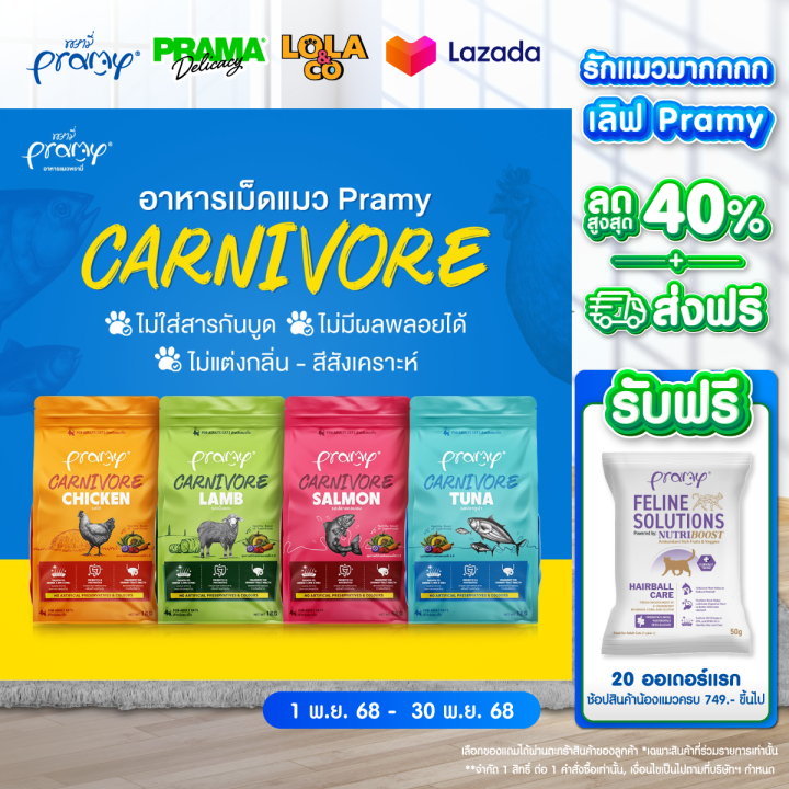 รวม 7 อันดับอาหารเม็ดแมวที่ดีที่สุดสำหรับทุกช่วงวัย อัปเดต 2025