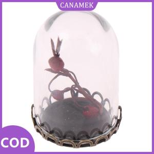 CANAMEK✨ Màn Hình Vòm kính trang trí thu nhỏ Nhà búp bê 1/12 với đế kim loại 2cm