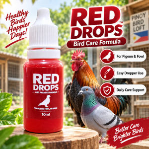RED DROPS 10ML ANTI PARASITIC FOR PIGEON AND BIRDS