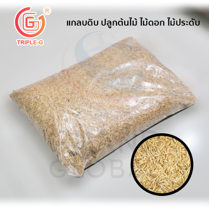 6 อันดับแกลบดำและดินปลูกยอดนิยม: อัปเดตปี 2025 สำหรับคนรักสวน 🌱