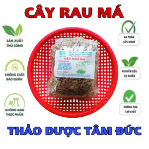 100g cây rau má sấy khô