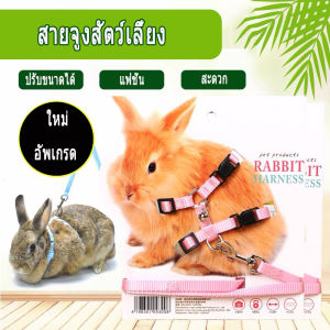 Allovingสัตว์เลี้ยงกระต่ายสายรัดนุ่มจูงเชือกลากกระต่ายปรับได้สําหรับวิ่งเดินสีส้ม