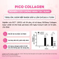 [Nội địa Nhật] PICO COLLAGEN với Collagen Kích Thước Siêu Nhỏ Ngăn Ngừa Lão Hóa, Dưỡng Ẩm Và Làm Đẹp Da Hộp 180 viên. 