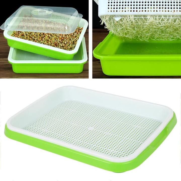 Bean Sprout Tray Germination Tray Seedling Tray Wheatgrass Tray ...