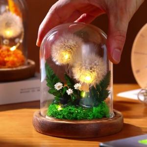 4Li Đèn Ngủ Bồ Công Anh Trường Sinh Bất Tử Hoa Khô Bìa Kính Đồ Trang Trí Để Bàn Cho Bạn Gái Và Bạn Gái Quà Sinh Nhật Cho Bạn Học Nam Ngày Lễ Tình Nh