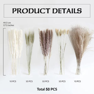 Natural Reed Dried Flowers DIY Handmade Wedding Flowers Decorated Pampas Grass Reeds Home Decor