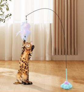 câu mèo hít đất hình hoa macaron dành cho mèo - T3 PETS SHOP