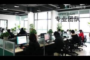 Z Cat Toy Set Cat Channel Cat Teaser Bell Cat Tunnel Toy Supplies Set