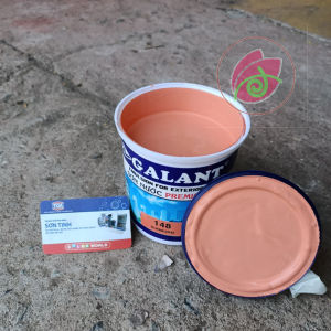Sơn nước ngoại thất Galant màu gạch 148 1kg sơn tường phào chỉ bê tông thạch cao
