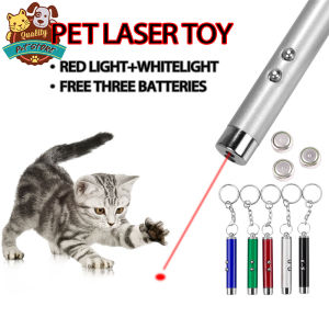 Laser Toy Pet Cat Funny Toy 2 In 1 Red Laser White LED Light Pet Dog Kitten Puppy Toy Supplies