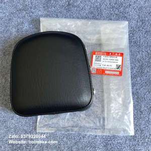 Đệm Tựa Lưng Sau Suzuki Gz150a