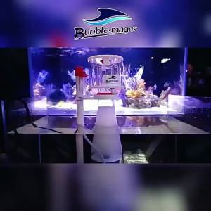 Bubble Magus Curve A3 A5 A8 Aquarium Internal Protein Skimmer DC Pump Saltwater Marine aquarium