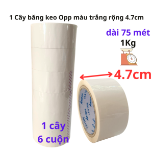 Băng keo màu OPP 100yard nặng 1kg độ rộng cuộn 47cm lõi giấy 3mm mỗi cây 6 cuộn
