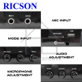RICSON KARAOKE AMPLIFIER WITH FM/ BLUETOOTH / USB PLAYBACK (AV-260 II). 