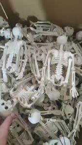Có thể giao hàng hộ hình đầu lâu   Mô hình bộ xương người bí ngô kinh dị Halloween có khớp điều chỉnh 40 90cm Đầu lâu
