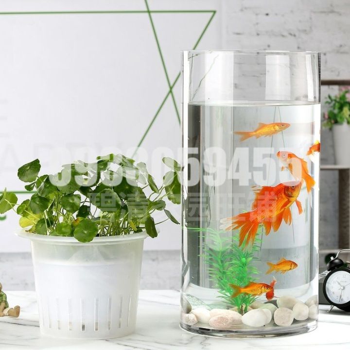 Bình bông lọ hoa thủy tinh trang trí trụ tròn, Lọ hoa nuôi trồng thủy ...