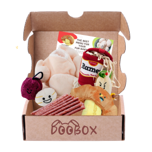 Doo Box The Ultimate Foodie Feast Pet Dog Sniff Toy Training Toys Chicken Croissant Ramen