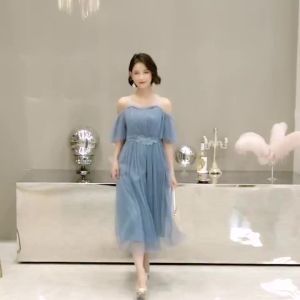 Tulle Plus Size Bridesmaid Dress for Women 2022 Long Evening Formal Dress for Wedding Guest㏇X0407
