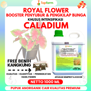 Pupuk Topfarm / Pupuk Tanaman Keladi / Pupuk Tanaman Hias Keladi Kris Papua / Pupuk Bunga Dan Tanaman Hias / Pupuk Penyubur Bunga Hias / Pupuk Booster Tanaman Hias / Pupuk Tanaman Caladium