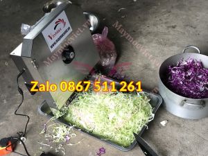 Máy thái rau củ quả chạy điện giá rẻ tại Bắc Ninh