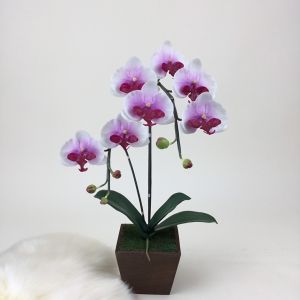 กระถางกล้วยไม้ประดิษฐ์ ดอกไม้ปลอมพร้อมกระถาง