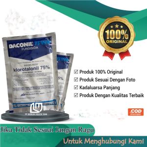 Fungisida Daconil 75 wp 100 Gram Kemasan Pabrik