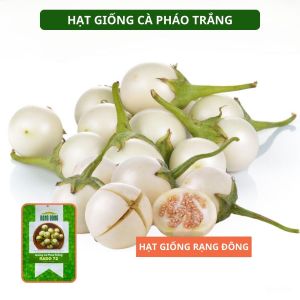 Hạt giống Cà Pháo Trắng RADO 72 Túi 05g(~100 hạt) Năng suất cao | Hạt giống Rạng Đông