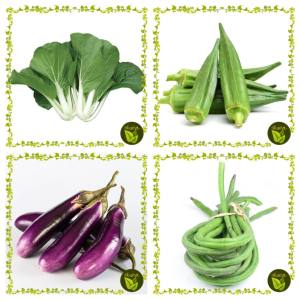 Sale! Binhi All in 4 in 1 Pack (Pechay Okra Eggplant String Beans) Outdoor Garden Plant
