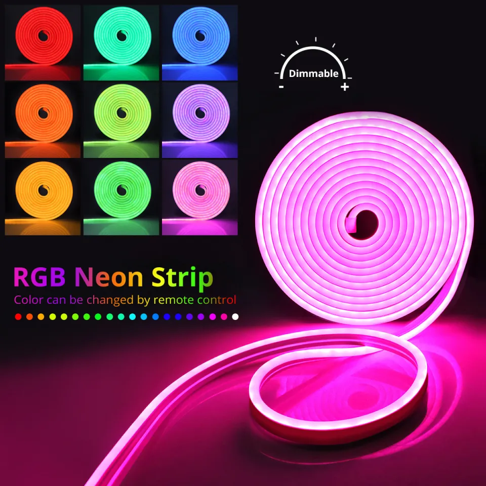 Fimilo Neon Strip Light for Ceiling 12V 5M RGB 5050 Waterproof