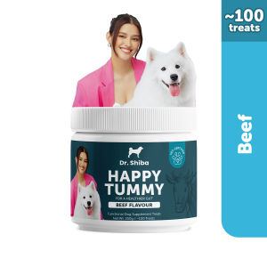Dr Shiba Happy Tummy Healthy Dog Treat Snacks: Delicious Pet Treats with Dog probiotics Dog Multivitamins Dog Supplements Appetite Booster for Dogs - Puppy Food/ Adult Dog Food and more: Digestive Health Care and Wellness